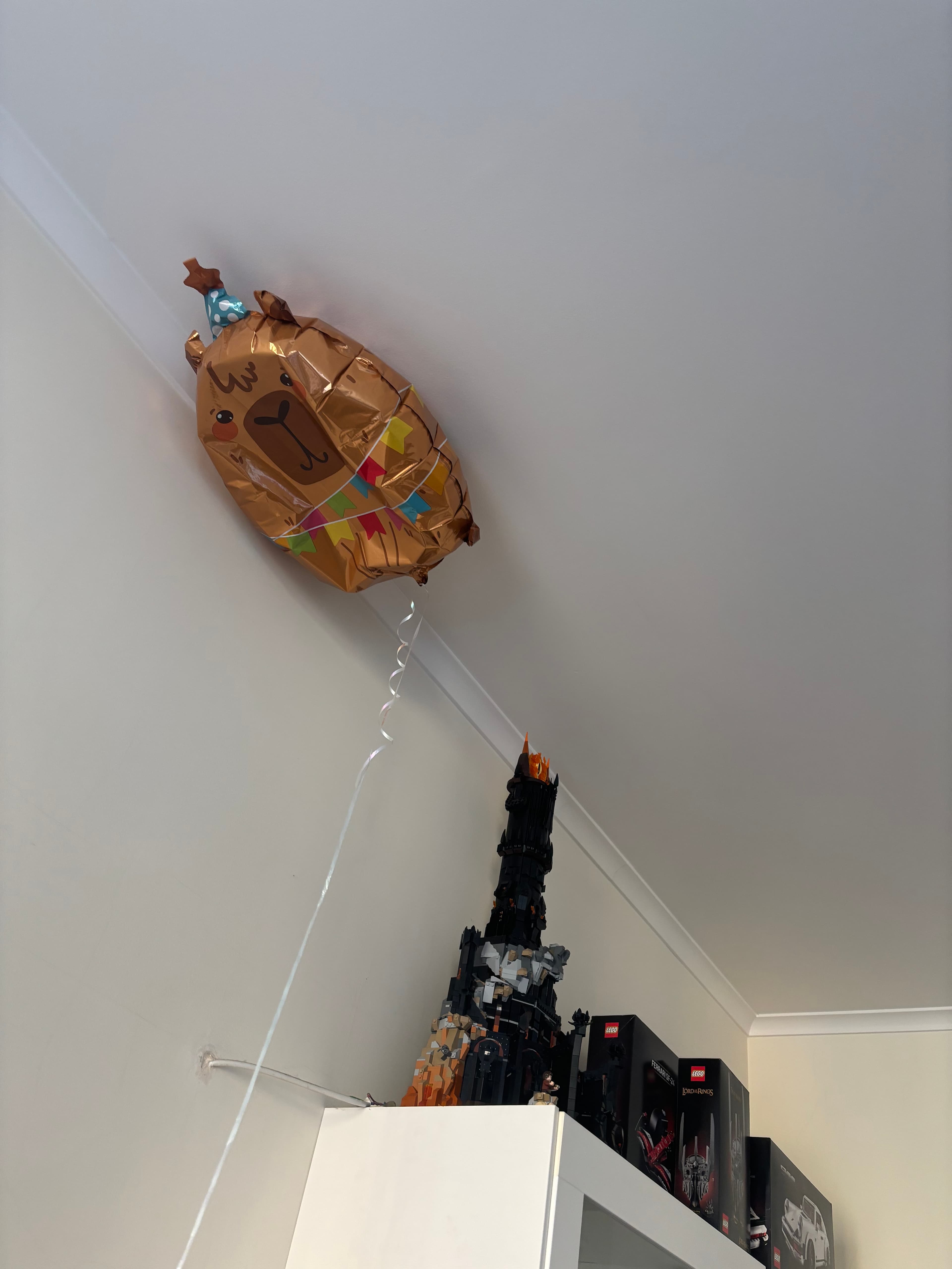 Zaneta the capybara balloon