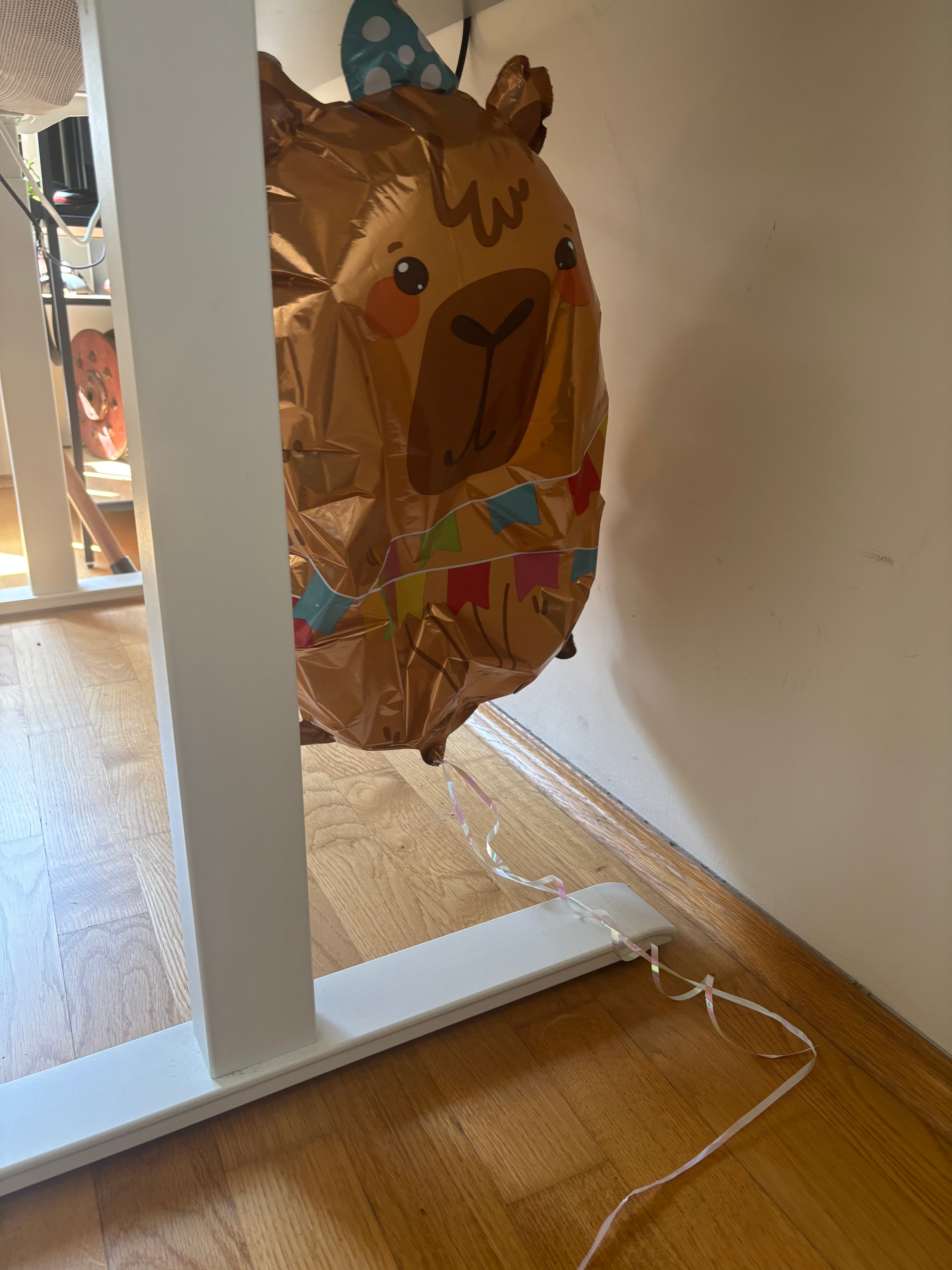 Zaneta the capybara balloon